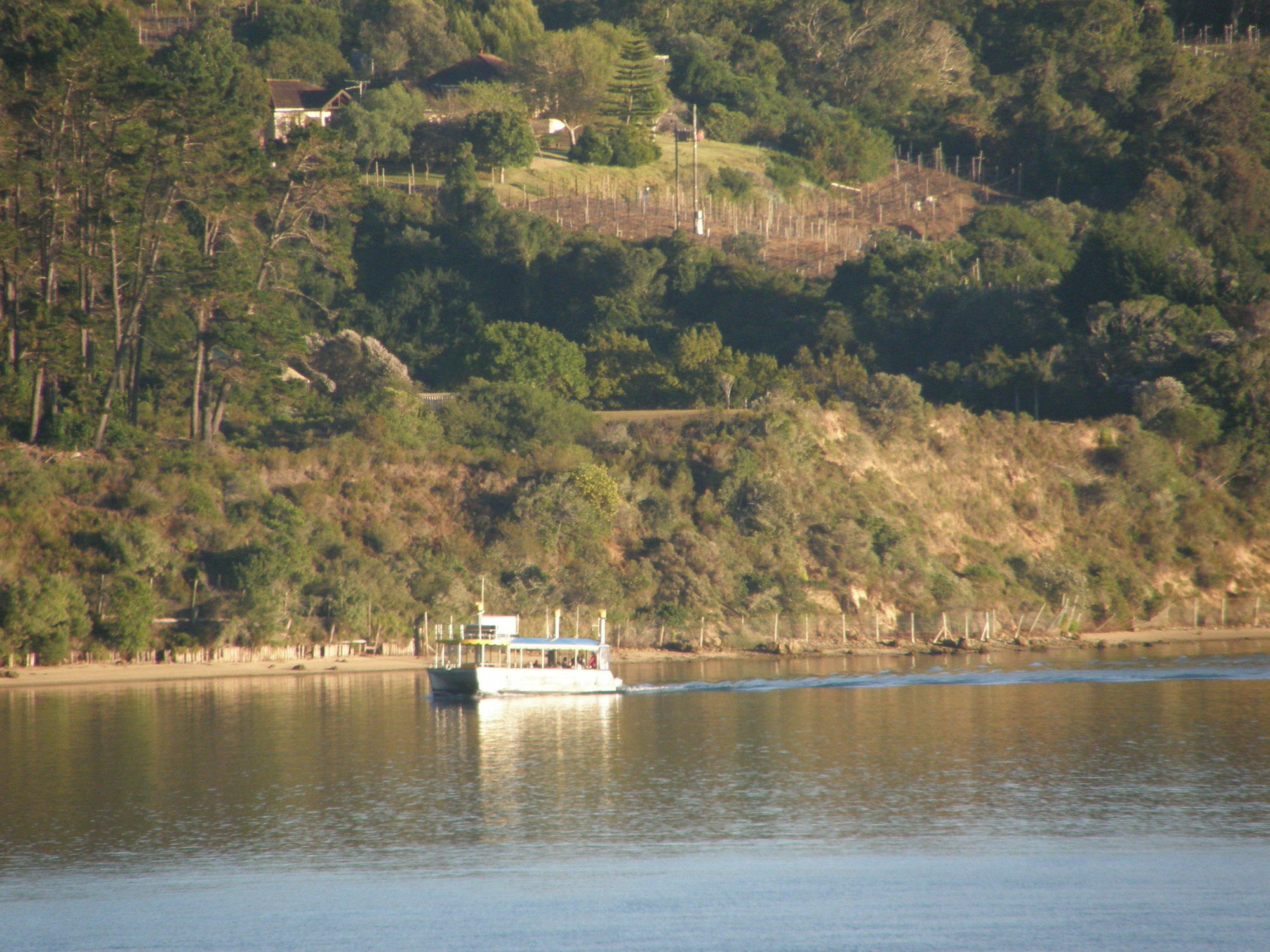 Augusta Bay Guest House Knysna Extérieur photo